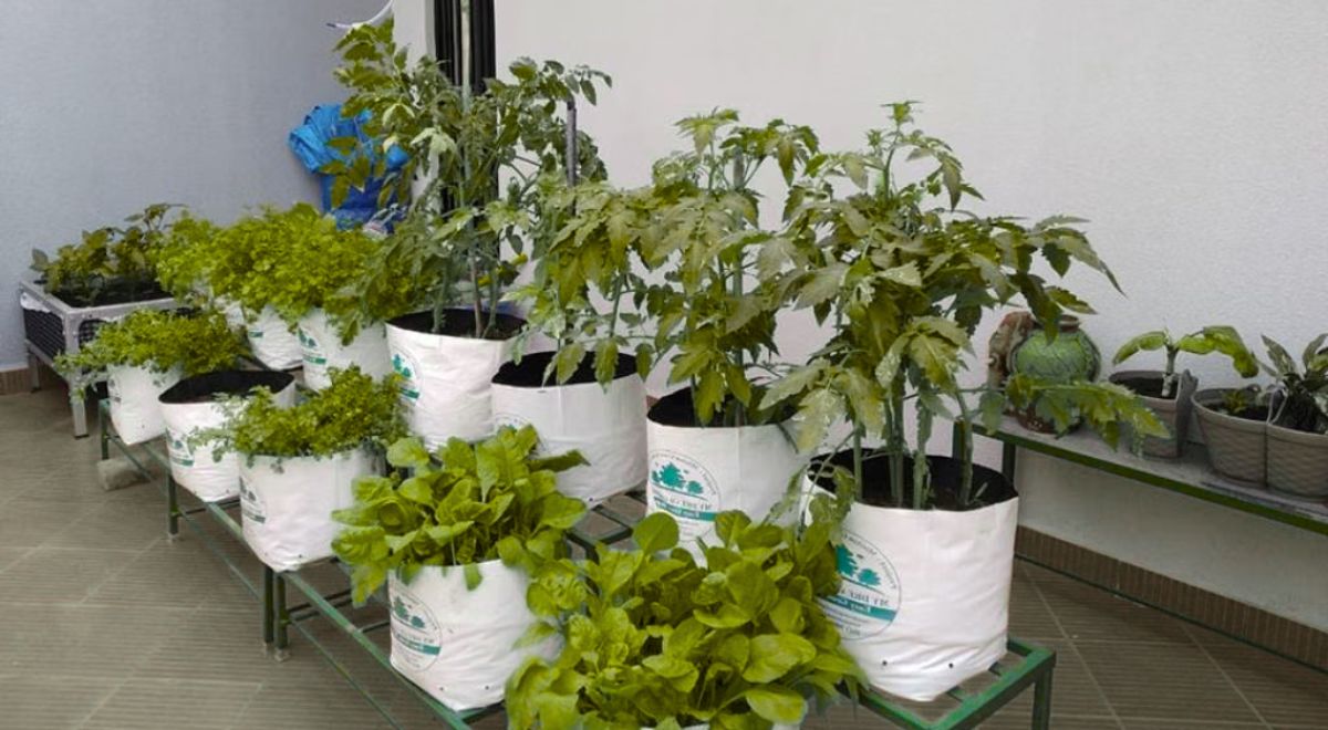 Terrace Farming Blend