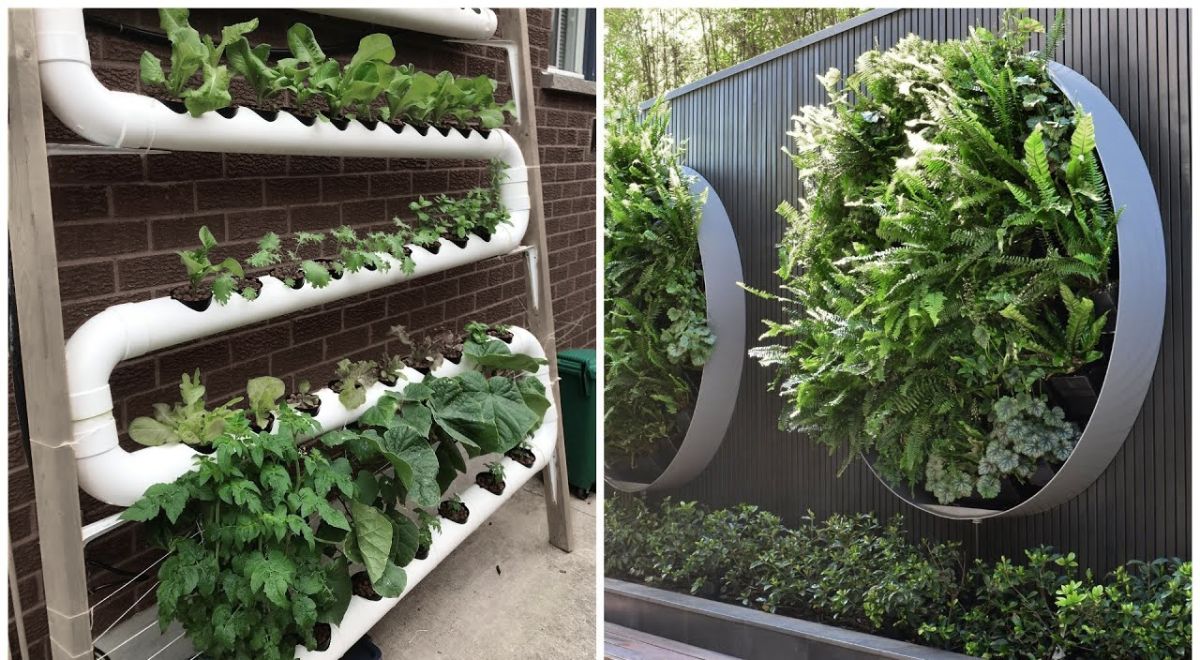 Indoor Plants Decoration for Small Houses: