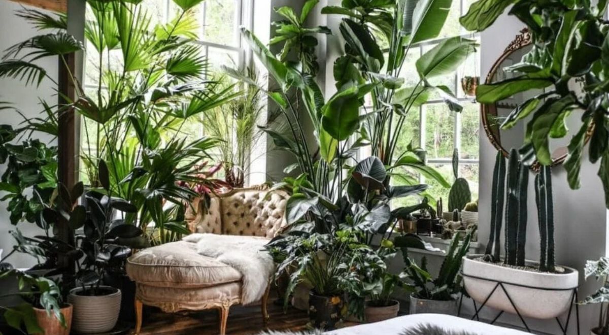 Seasonal Plant Styling