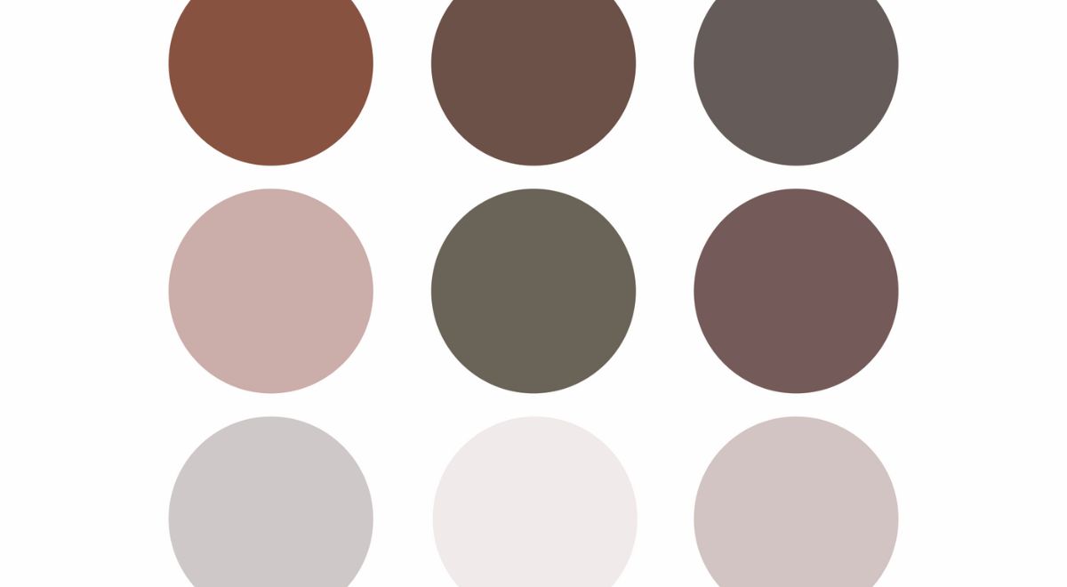 Color Palette Basics