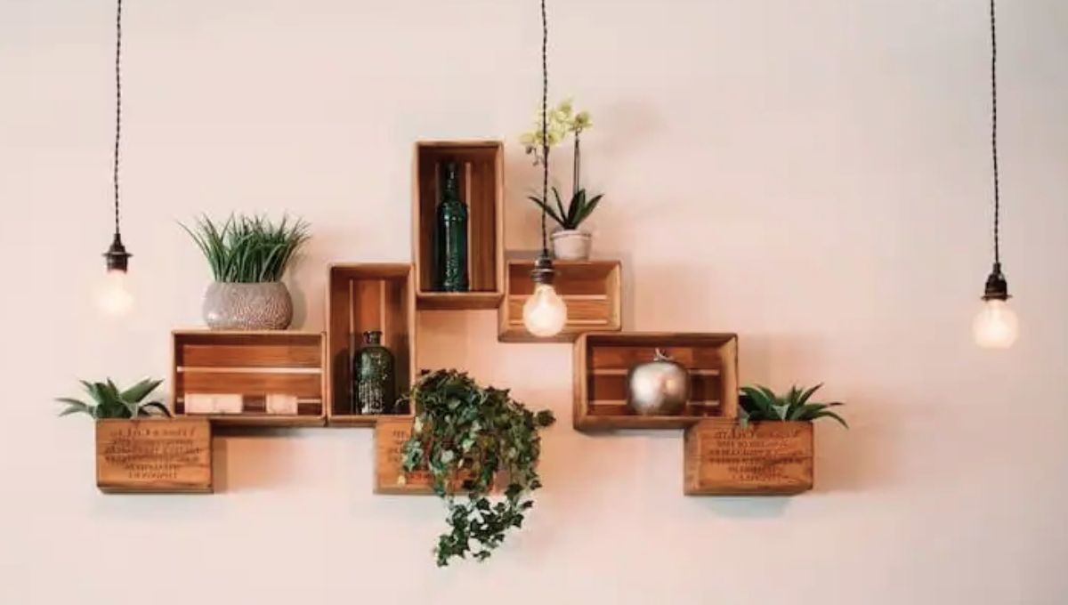 Green Home Decor: टिकाऊ जीवन की ओर स्टाइल के साथ