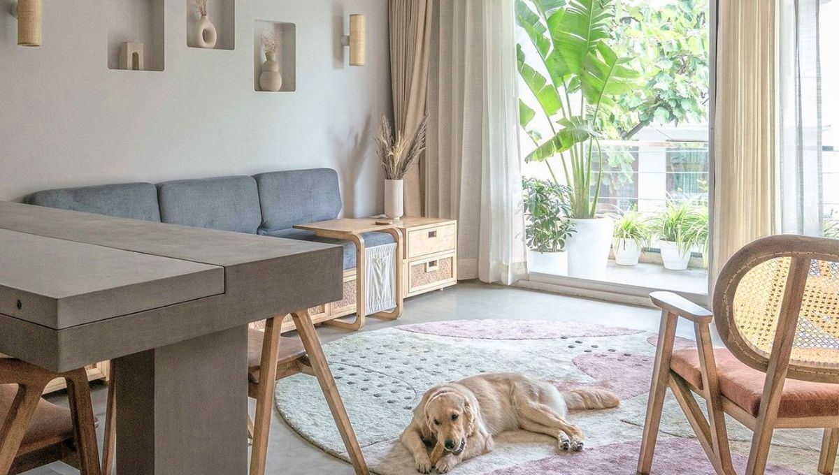 Long Term Benefits of Pet-Friendly Interiors