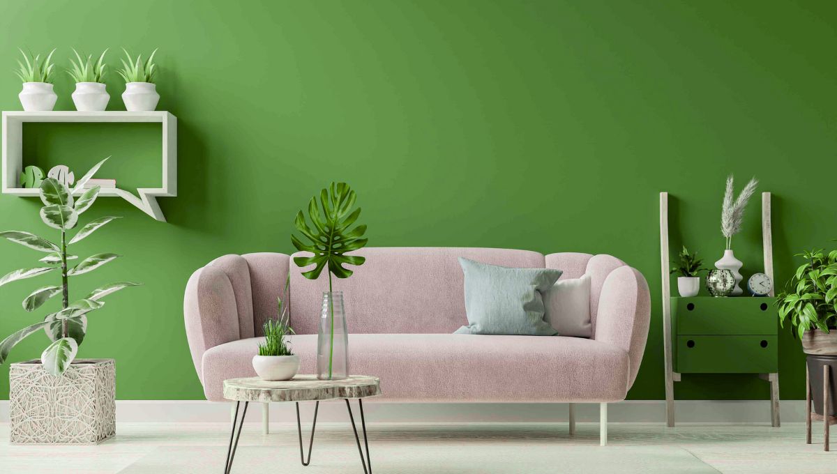 Green Corners, Fresh Vibes in Budget-Friendly Small Apartment Decor