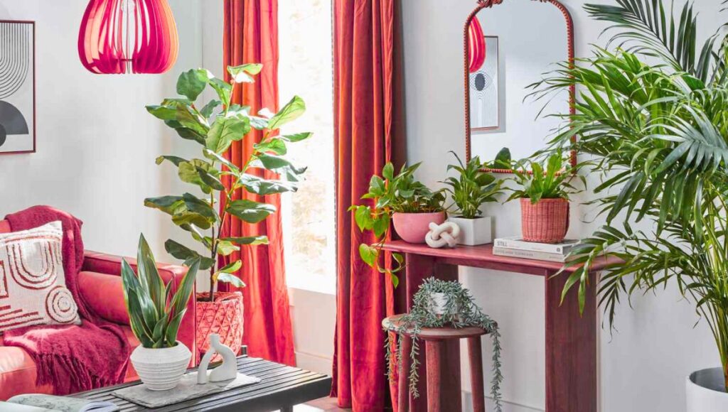 Indoor Plant Styling for Fresh Interiors